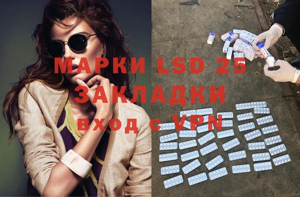 крисы Алзамай
