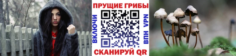 МЕГА как войти  цены наркотик  Межгорье  Галлюциногенные грибы GOLDEN TEACHER 